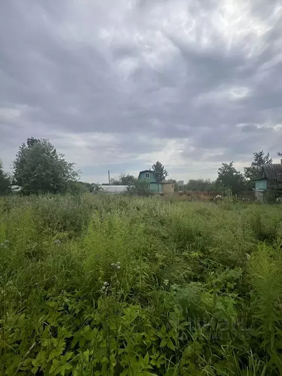 Участок в Ленинградская область, Волхов Восход 6 СТ, ул. Клубничная, ... - Фото 2