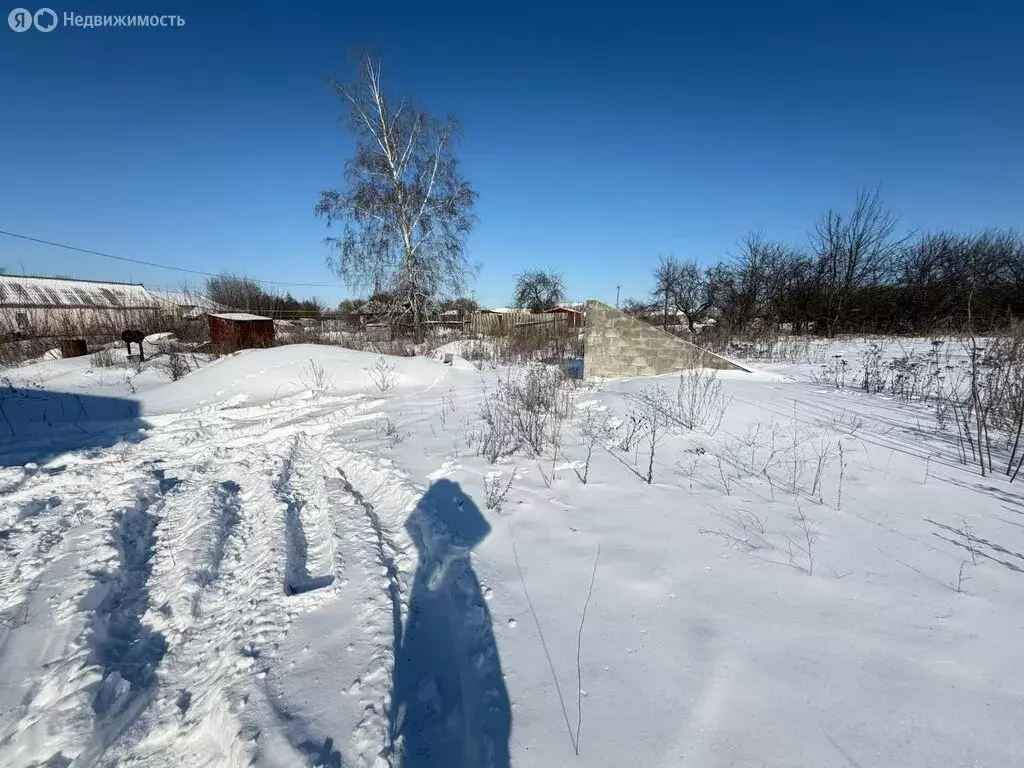 Участок в Корочанский район, Погореловское сельское поселение, хутор ... - Фото 2