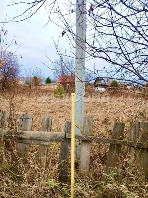 Участок в Томская область, Томск с. Дзержинское, ул. Сосновая (11.0 ... - Фото 2