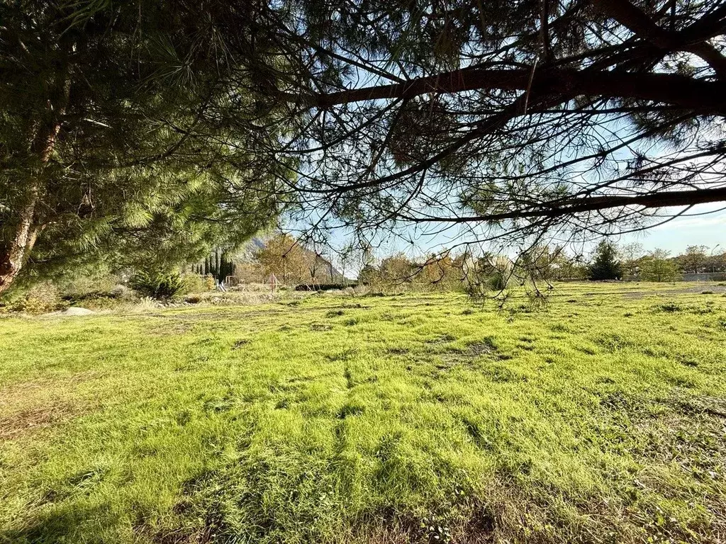 Участок в Крым, Ялта муниципальный округ, Гурзуф пгт  (70.0 сот.) - Фото 2