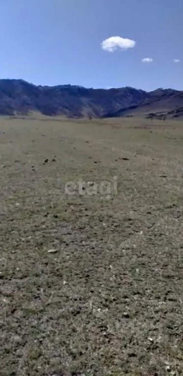 Участок в Алтай, Онгудайский район, с. Бичикту-Боом  (500.0 сот.) - Фото 1