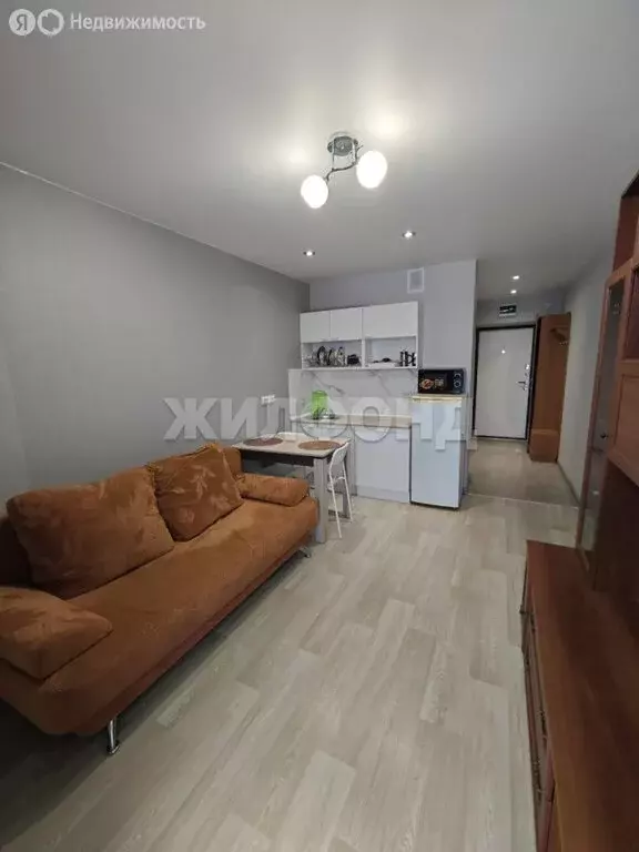 Квартира-студия: Новосибирск, улица Забалуева, 102/2 (20 м) - Фото 1