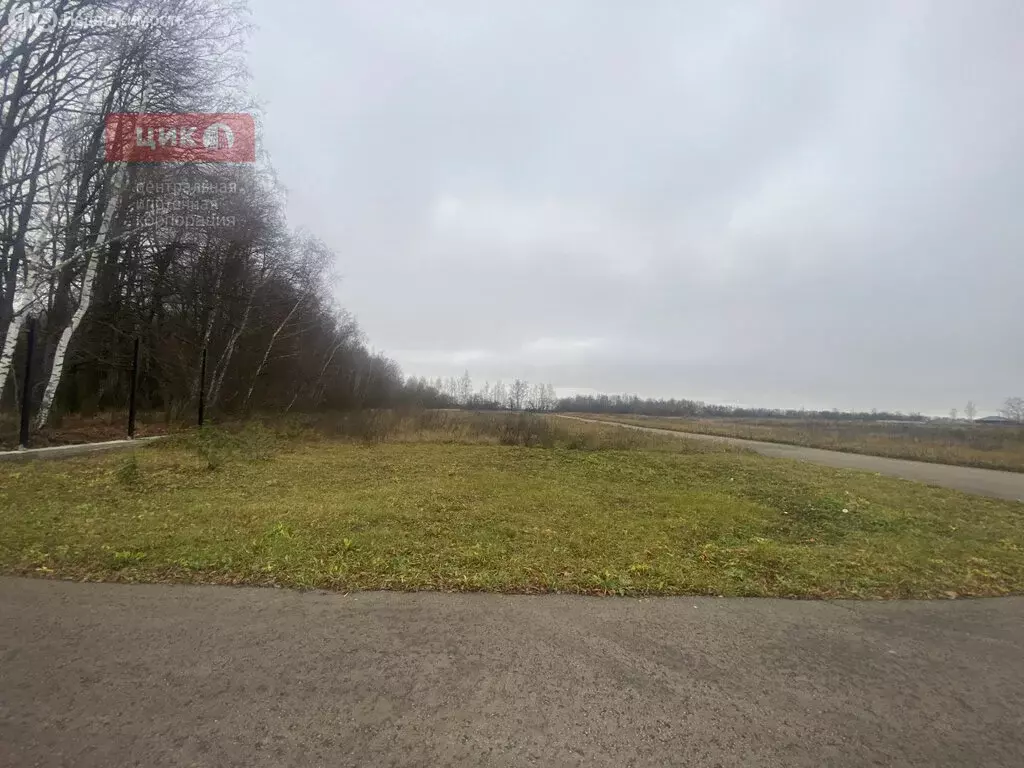 Участок в Рязанская область, Рыбновский муниципальный округ, село ... - Фото 2