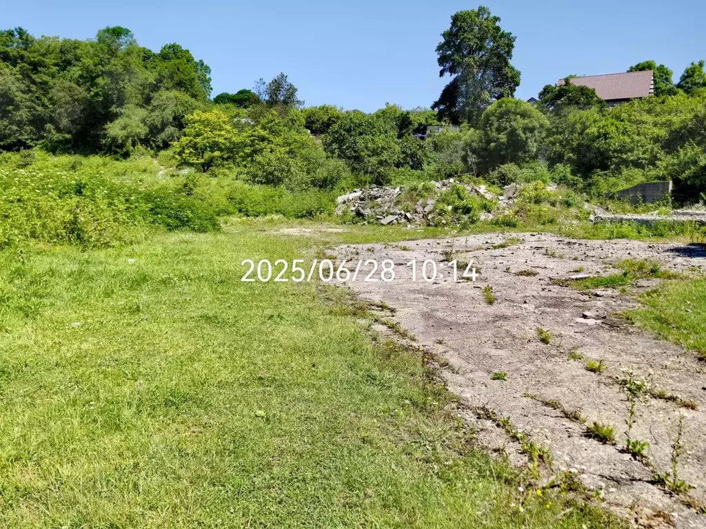 Участок в Краснодарский край, Сочи городской округ, с. Красная Воля ... - Фото 0