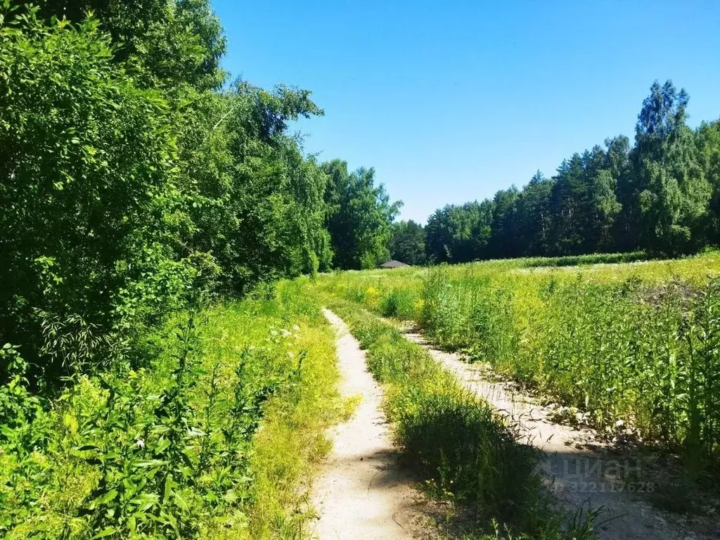 Участок в Тульская область, Ясногорский район, Иваньковское с/пос, д. ... - Фото 1