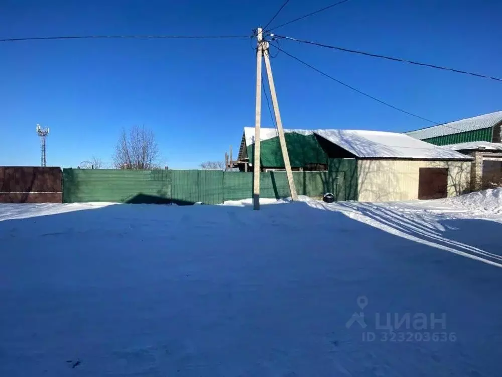 Дом в Амурская область, Белогорск ул. 2-я Пушкинская, 21 (126 м) - Фото 1