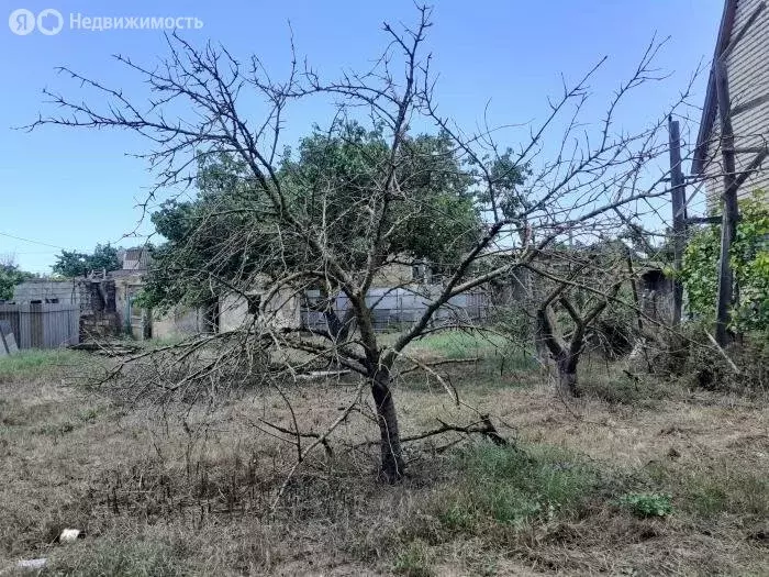 Участок в Сакский район, село Суворовское (4 м) - Фото 1