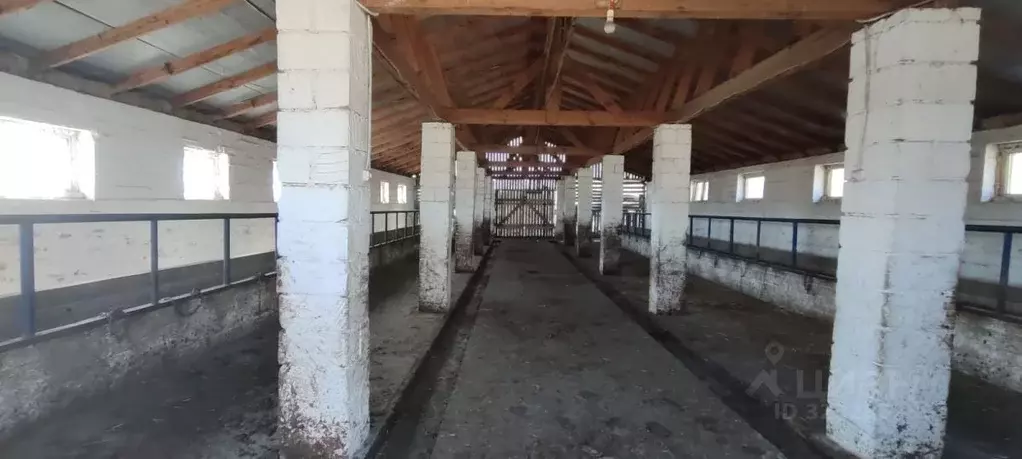 Производственное помещение в Крым, Бахчисарайский район, Почтовское ... - Фото 2