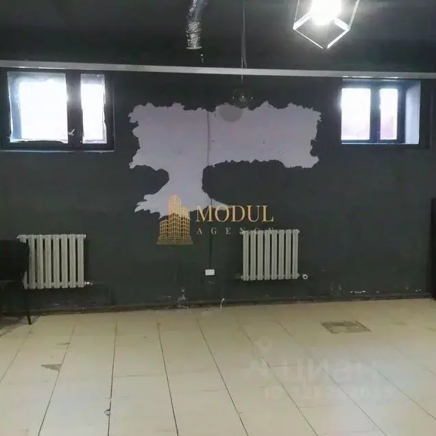 Помещение свободного назначения в Татарстан, Казань ул. Патриса ... - Фото 1