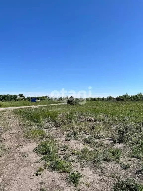 Участок в Ростовская область, Аксайский район, Старочеркасская ст-ца ... - Фото 0