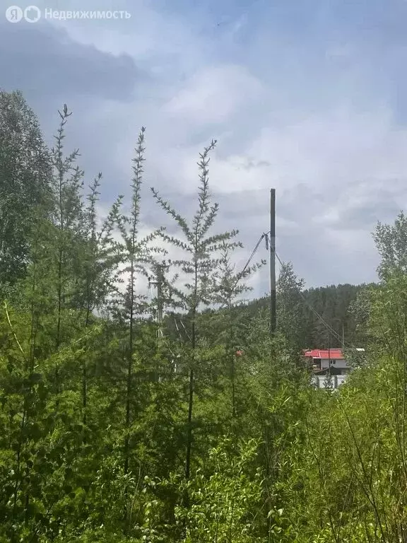 Участок в Читинский район, НСТ № 20 Никишиха, 20 (15 м) - Фото 0