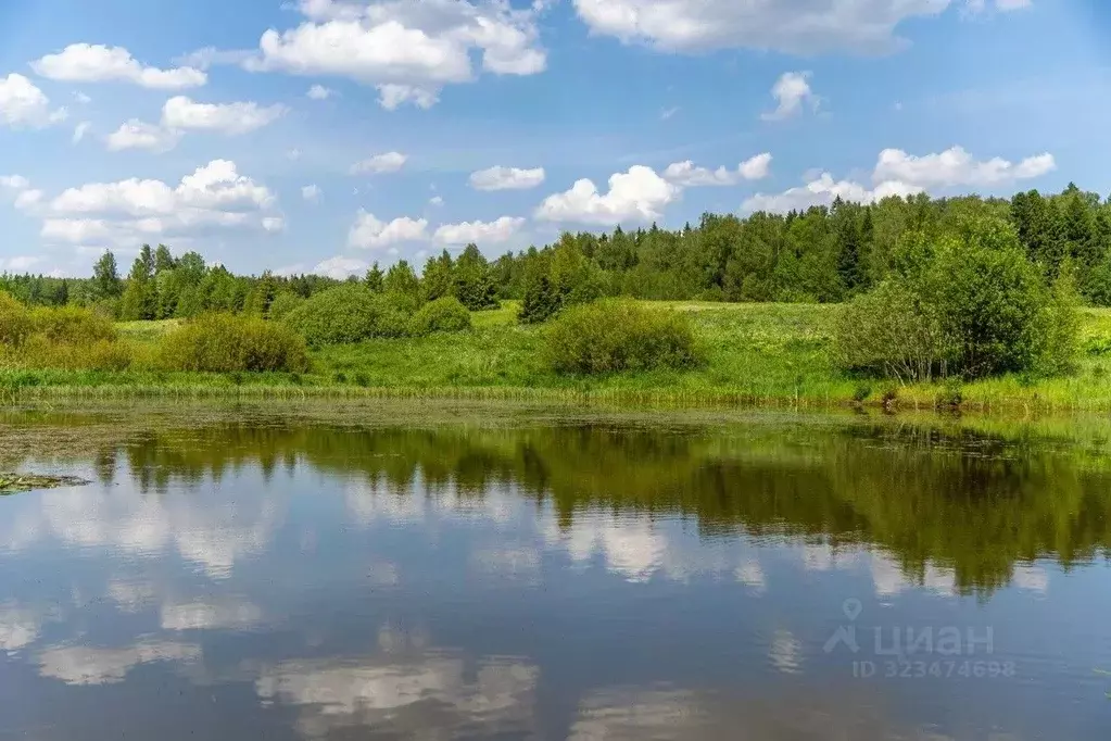 Участок в Московская область, Истра муниципальный округ, д. Рыбушки  ... - Фото 2