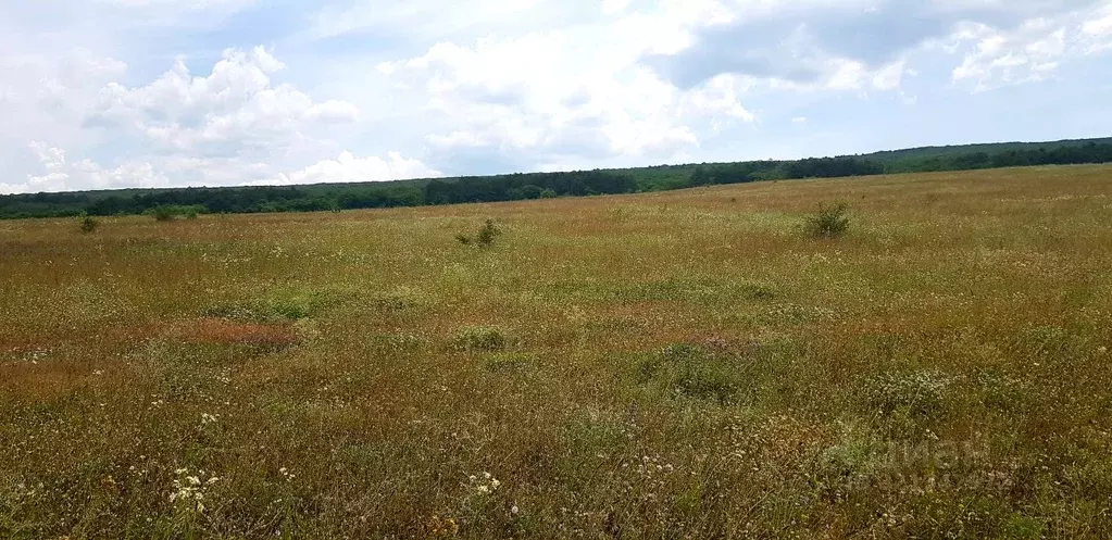 Участок в Крым, Бахчисарайский район, с. Скалистое  (10.0 сот.) - Фото 2