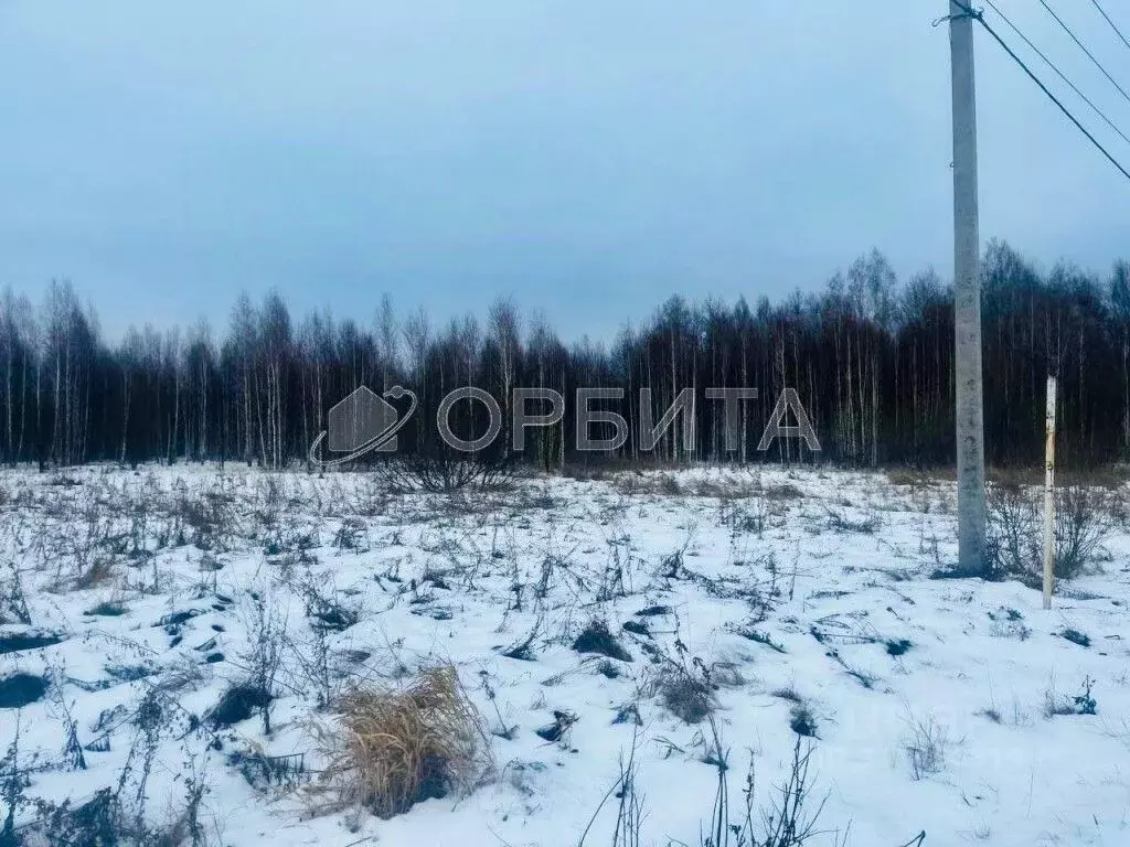 Участок в Тюменская область, Тюменский район, с. Горьковка Сибирская ... - Фото 1