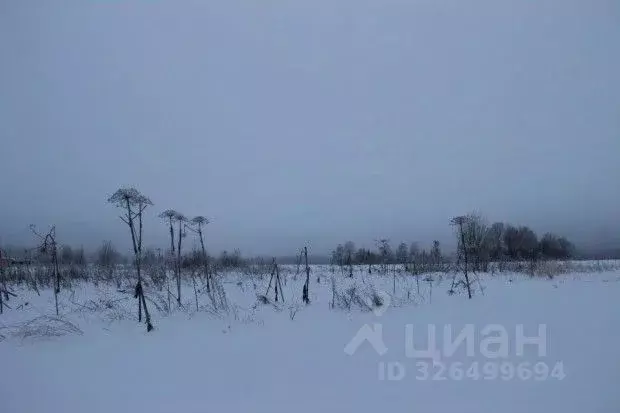 Участок в Московская область, Шаховская муниципальный округ, д. ... - Фото 1