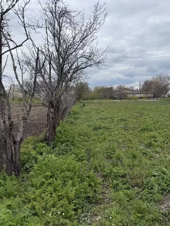 Участок в Трудовское сельское поселение, село Ивановка, ... - Фото 1