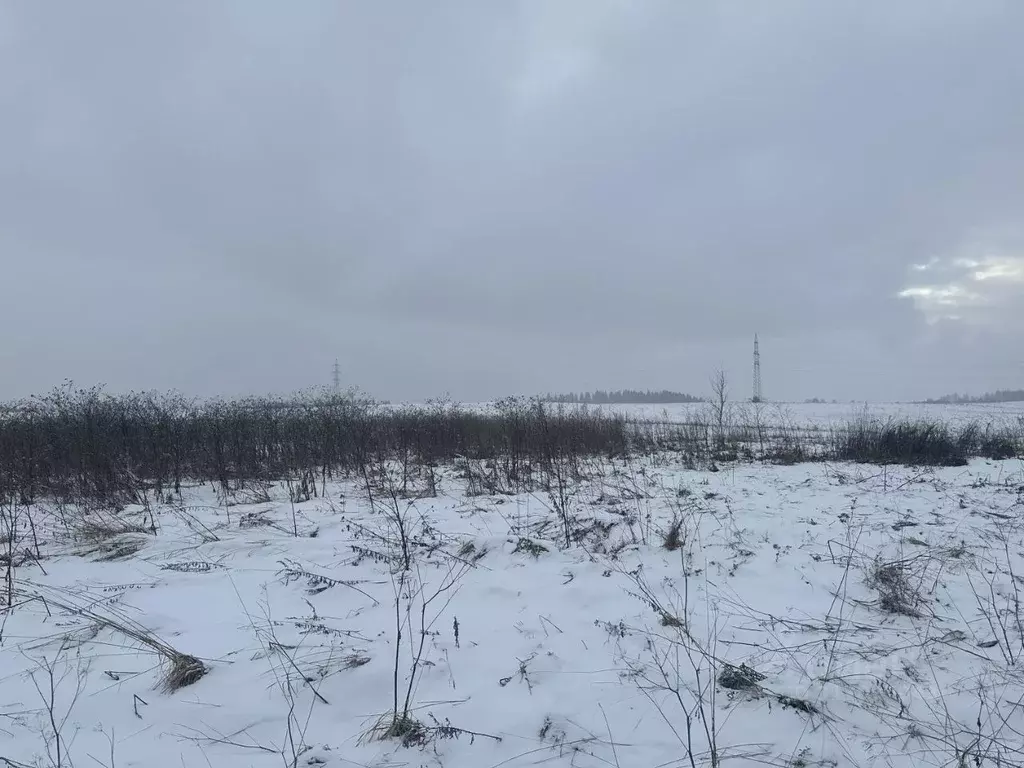 Участок в Московская область, Истра муниципальный округ, д. Филатово  ... - Фото 1