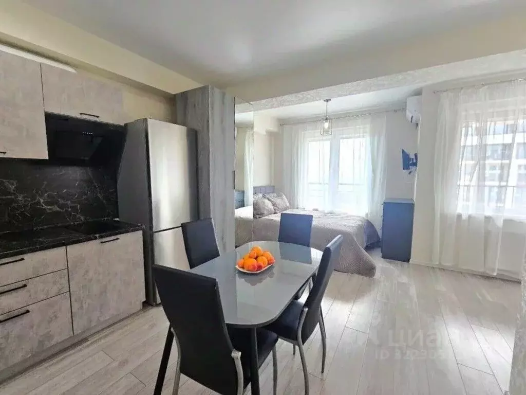 1-к кв. Краснодарский край, Сочи городской округ, Дагомыс пгт ул. ... - Фото 1