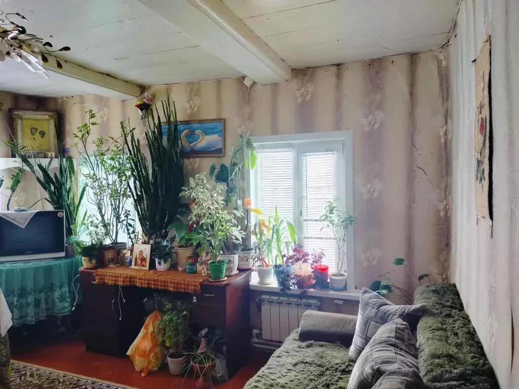 Дом в Мордовия, с. Большие Березники ул. Нижняя, 50 (48 м) - Фото 2
