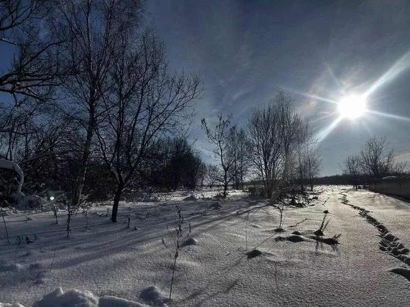 Участок в Московская область, Ступино городской округ, д. Карпово ул. ... - Фото 1