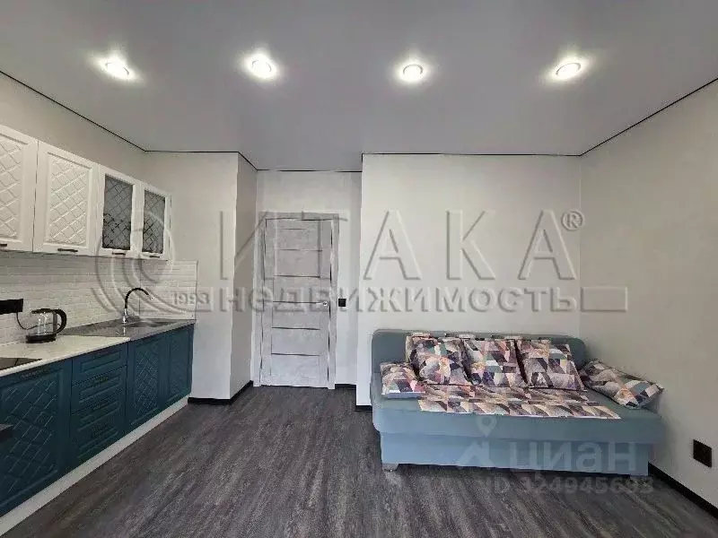 Студия Санкт-Петербург пос. Шушары, просп. Старорусский, 9 (26.0 м) - Фото 2