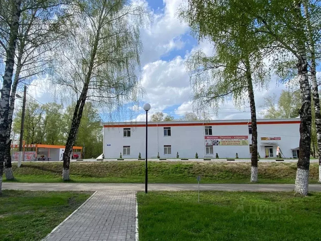 Помещение свободного назначения в Калужская область, Бабынинский ... - Фото 1