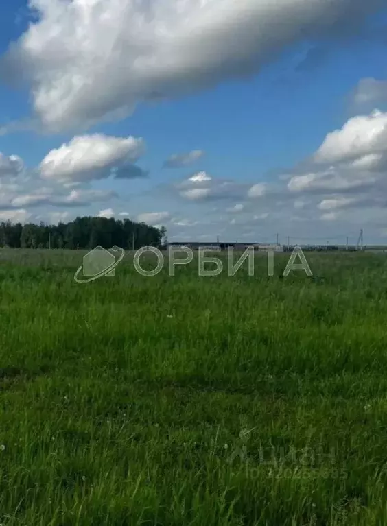 Участок в Свердловская область, Тугулым пгт  (12.5 сот.) - Фото 0