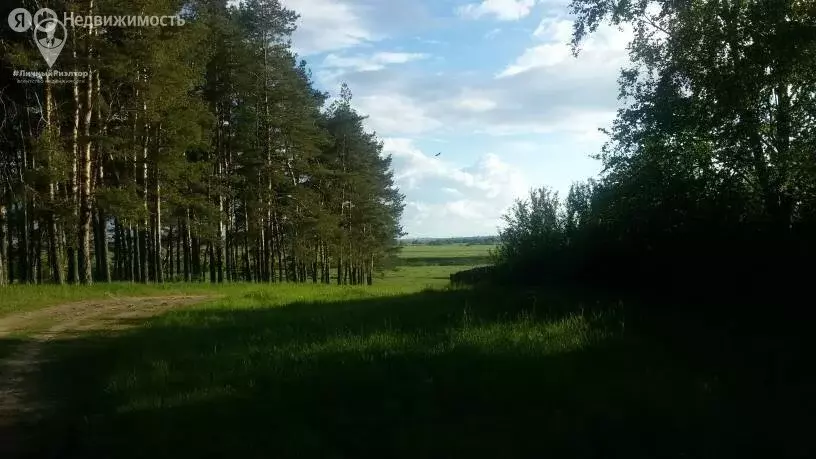 Участок в Рязанская область, Спасский муниципальный округ, деревня ... - Фото 2
