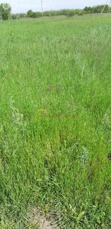 Участок в Красноармейское сельское поселение, посёлок Симоновка, улица ... - Фото 1