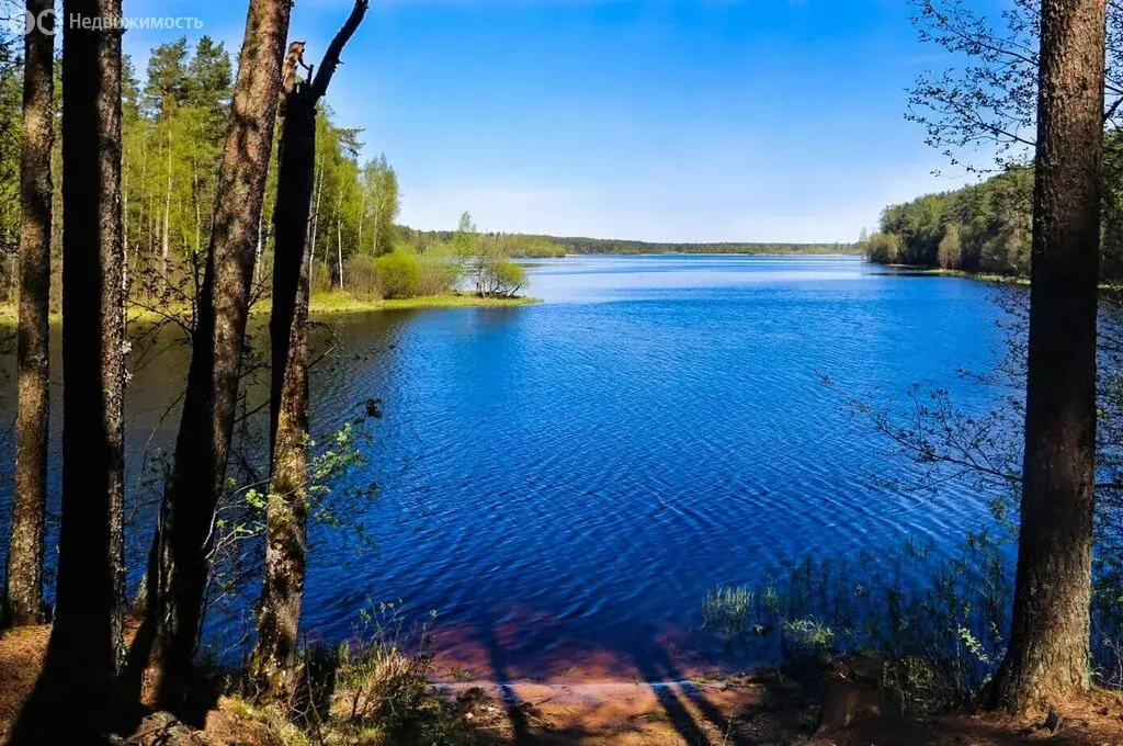 Участок в Выборгский район, Полянское сельское поселение, ... - Фото 0