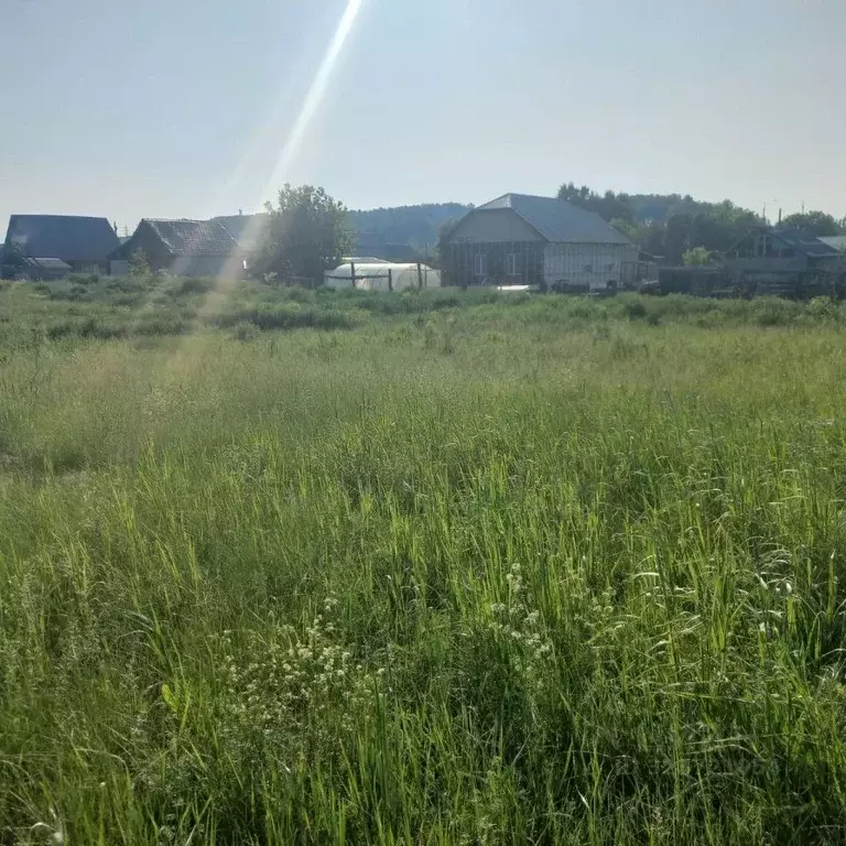 Участок в Алтайский край, Косихинский район, с. Косиха Береговая ул., ... - Фото 1