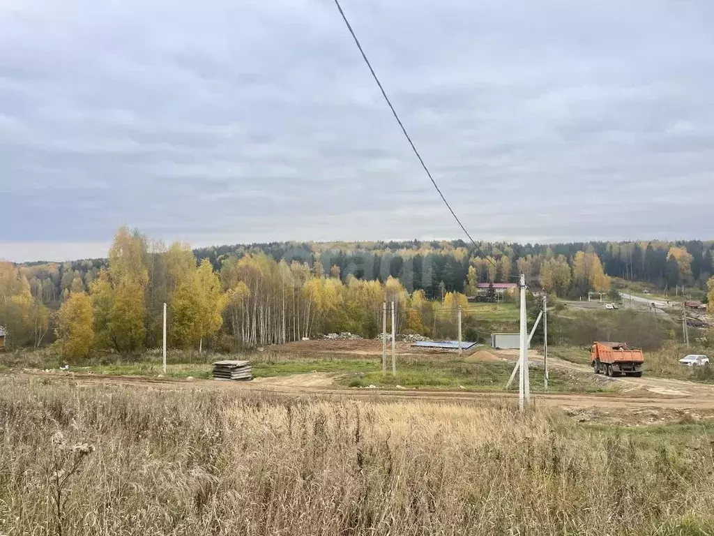 Участок в Костромская область, Красносельский район, Боровиковское ... - Фото 1