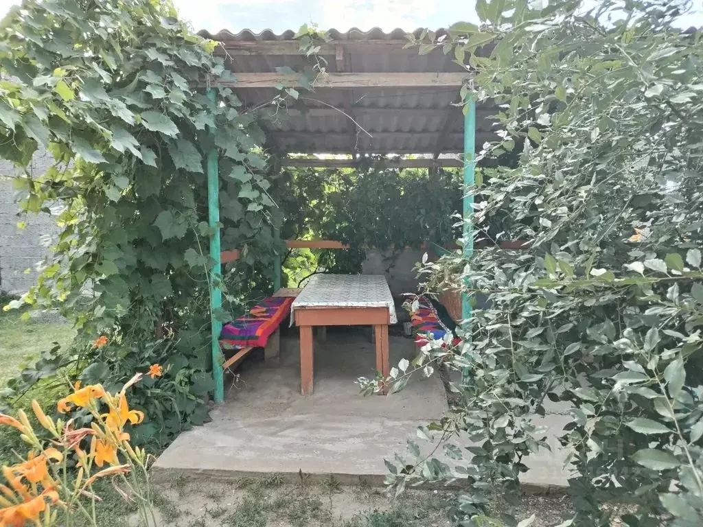 Дом в Оренбургская область, Соль-Илецк Лесная ул., 18 (60 м) - Фото 1