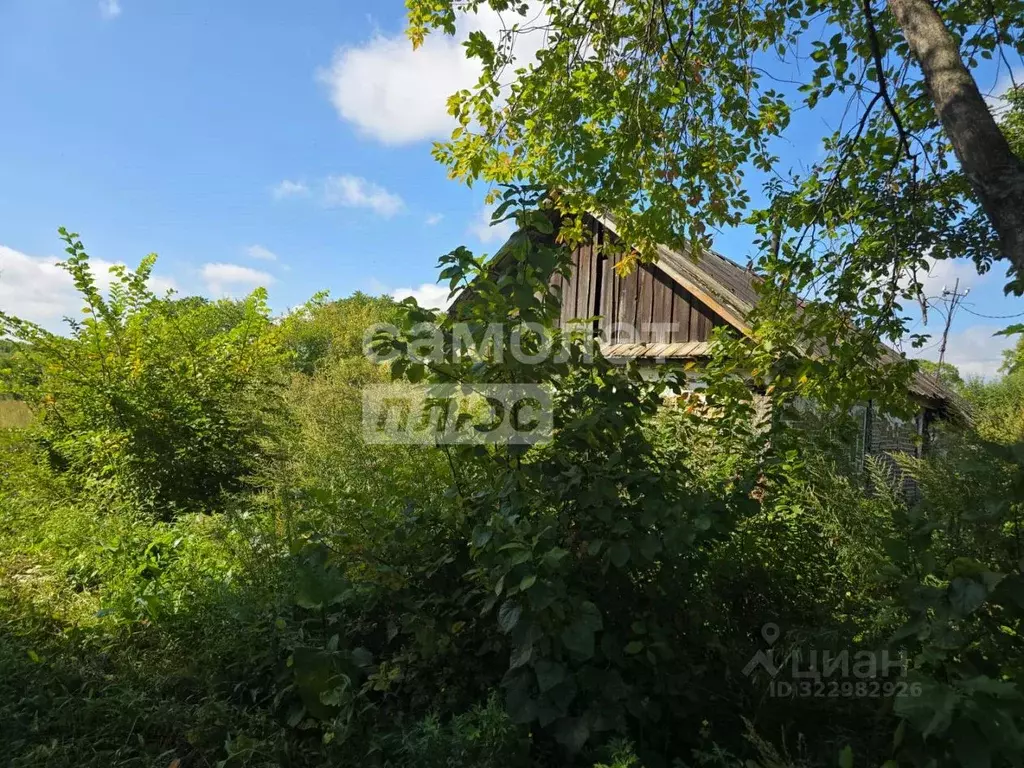 Дом в Хабаровский край, Имени Лазо район, с. Могилевка Заречная ул., ... - Фото 2