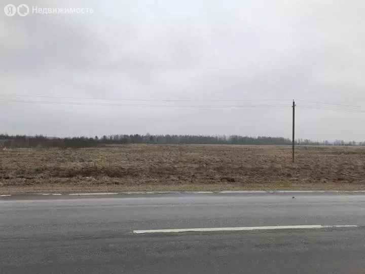 Участок в Клементьево, Центральная улица (41 м) - Фото 1