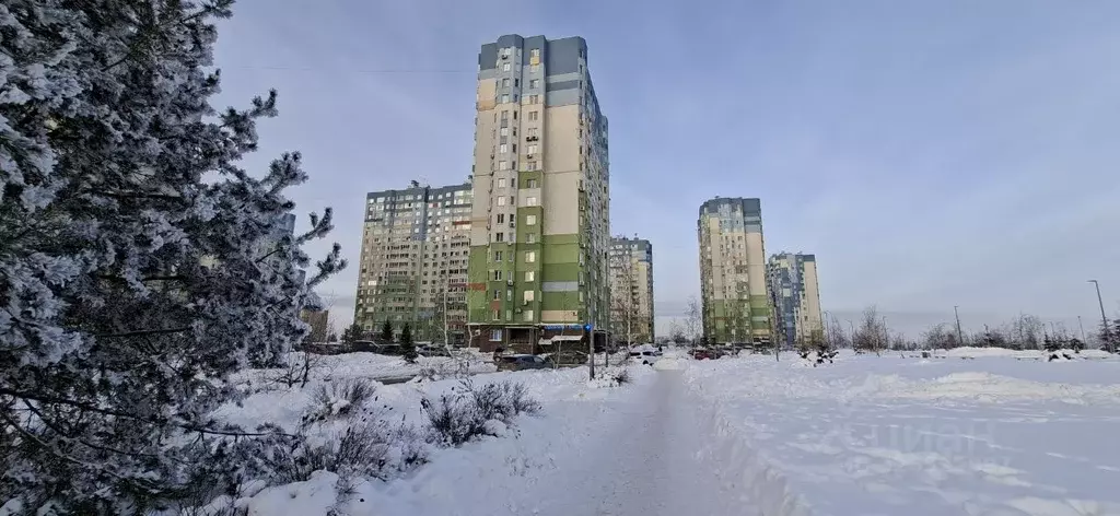 1-к кв. Нижегородская область, Нижний Новгород Мещерское Озеро ... - Фото 1
