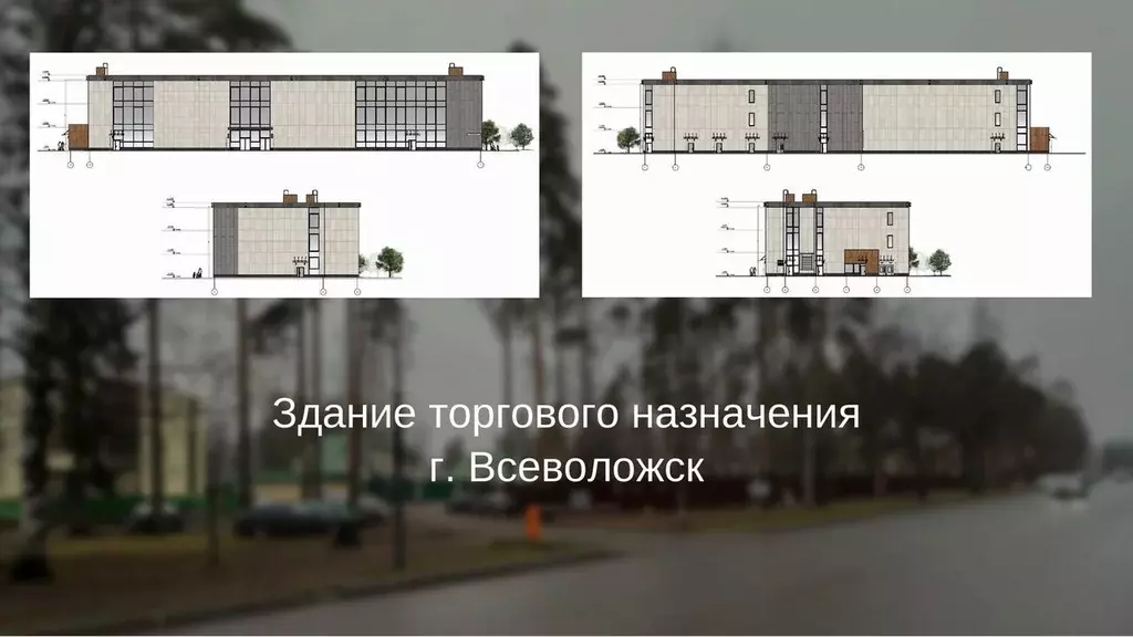 Помещение свободного назначения в Ленинградская область, Всеволожск ... - Фото 1