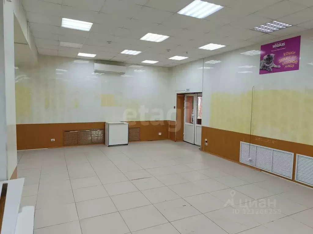 Помещение свободного назначения в Владимирская область, Владимир ... - Фото 1