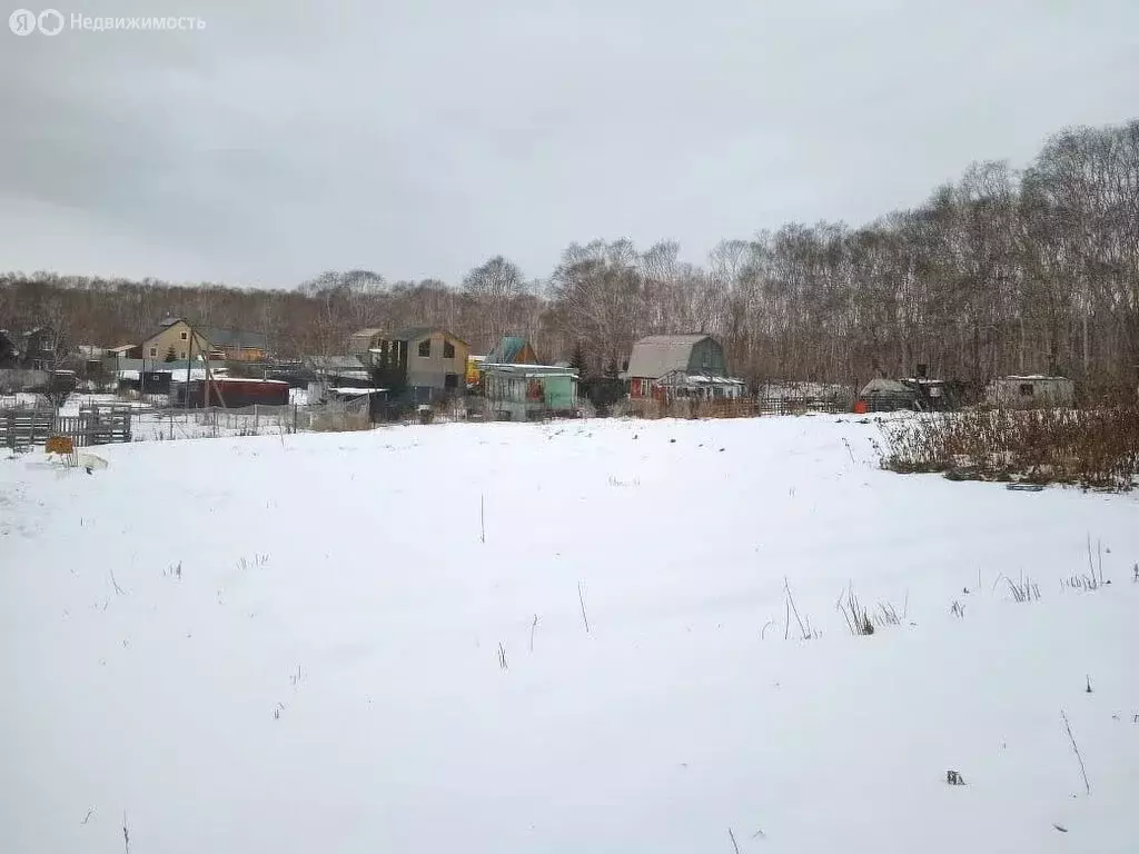 Участок в Камчатский край, Елизовский муниципальный округ, ... - Фото 2