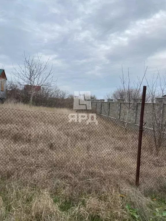 Участок в Ростовская область, Неклиновский район, ... - Фото 2