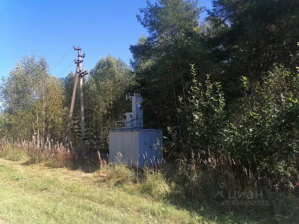 Участок в Нижегородская область, Сокольский городской округ, д. ... - Фото 0