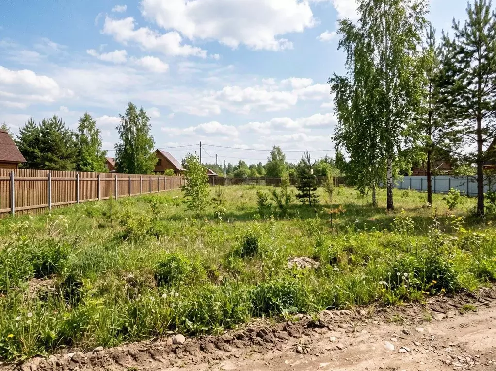 Участок в Московская область, Богородский городской округ, Восточная ... - Фото 1