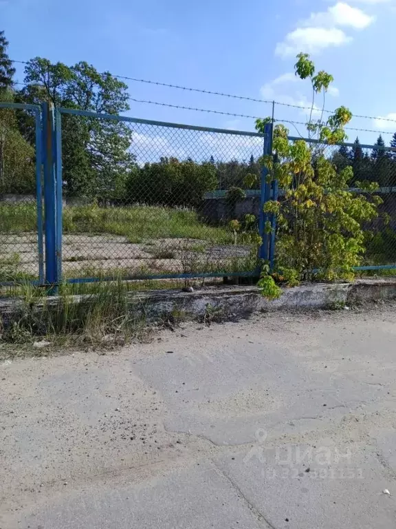 Помещение свободного назначения в Московская область, Кубинка ул. ... - Фото 2