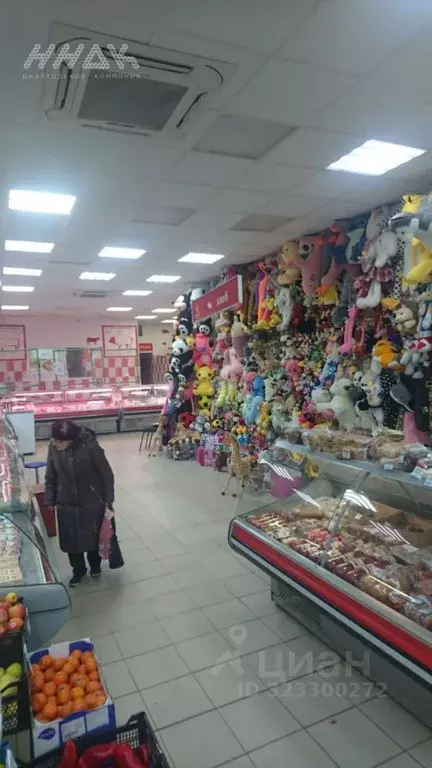 Торговая площадь в Нижегородская область, Нижний Новгород ул. ... - Фото 2