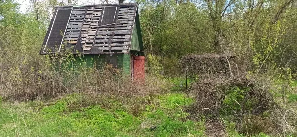 Участок в Курская область, Курский район, Камышинский сельсовет, ... - Фото 0
