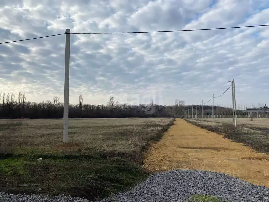 Участок в Ростовская область, Аксайский район, Большелогское с/пос, ... - Фото 1