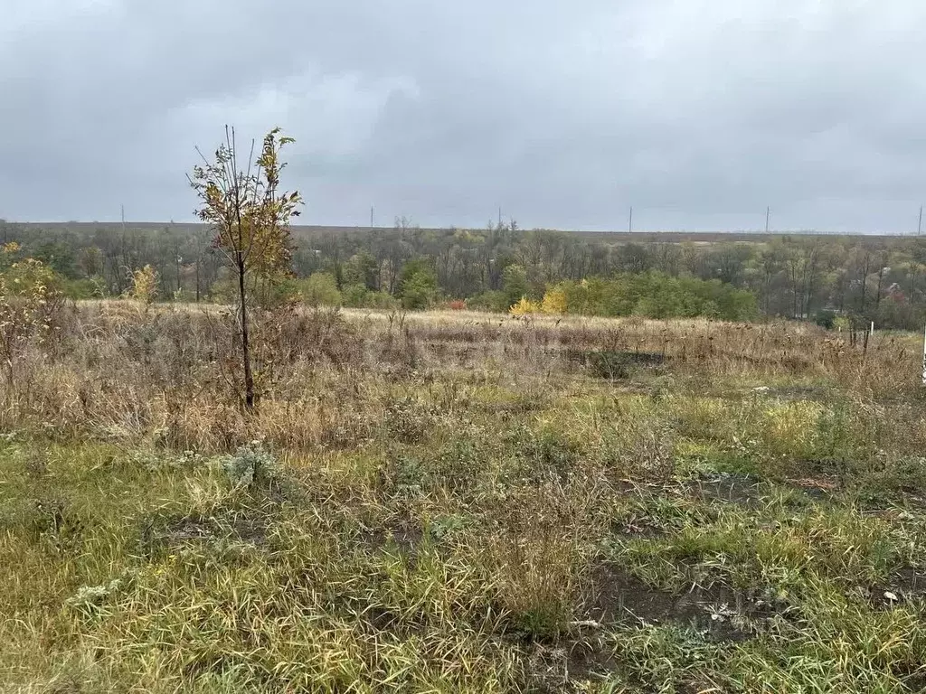 Участок в Белгородская область, Белгород Лимонник СТ, 583 (5.0 сот.) - Фото 1