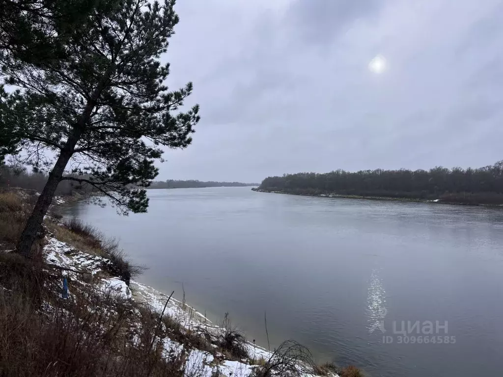 Участок в Рязанская область, Шиловский район, Борковское с/пос  (730.0 ... - Фото 1
