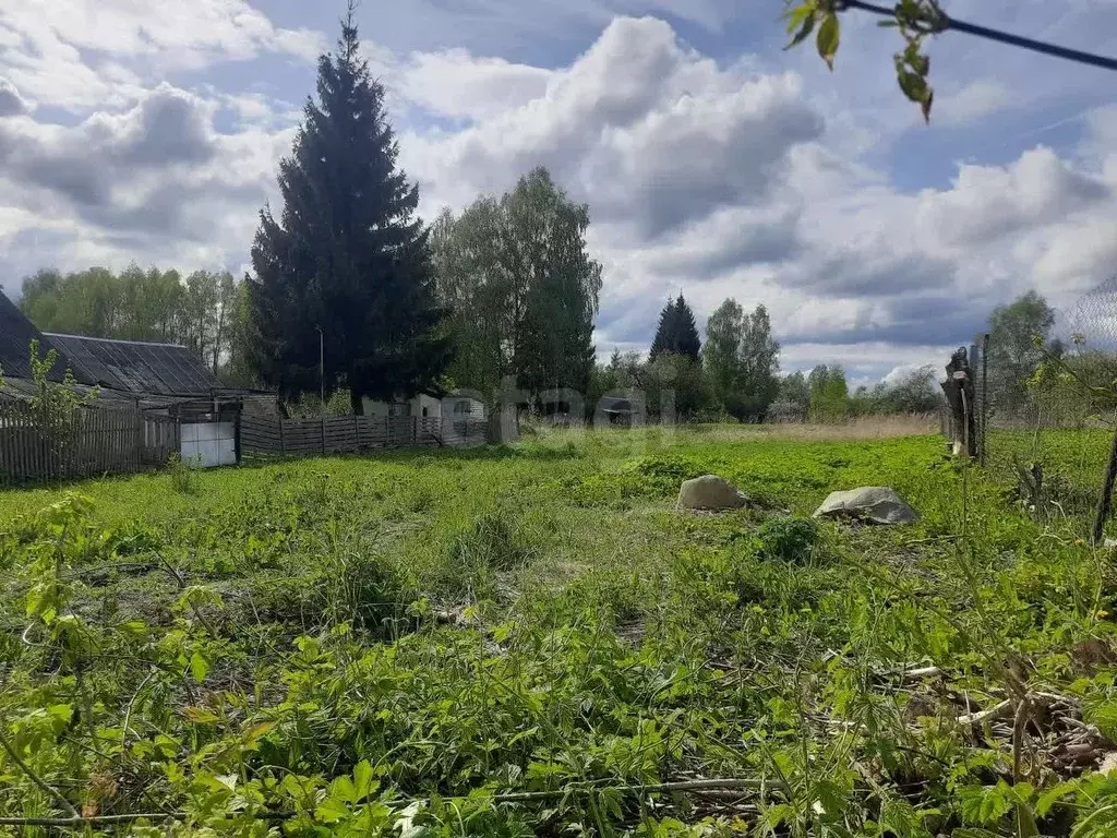 Участок в Смоленская область, Смоленский муниципальный округ, с. ... - Фото 1