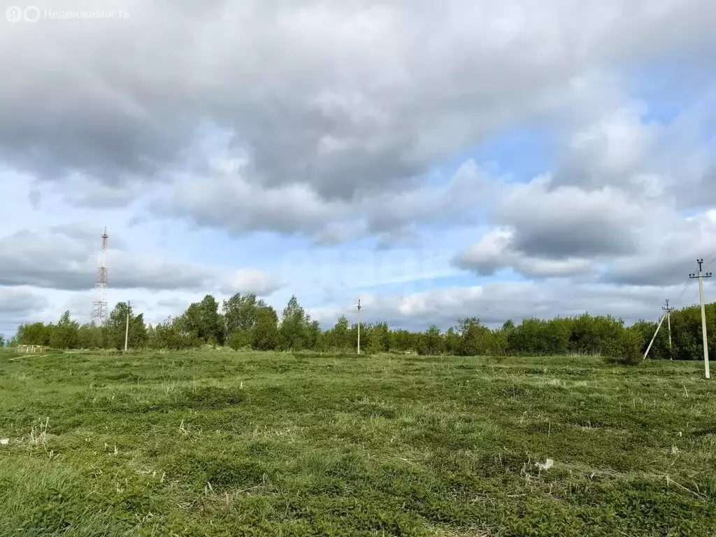 Участок в Тюменский муниципальный округ, село Созоново (23 м) - Фото 1